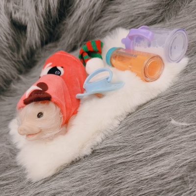 Силиконовая свинка реборн Plushie-2